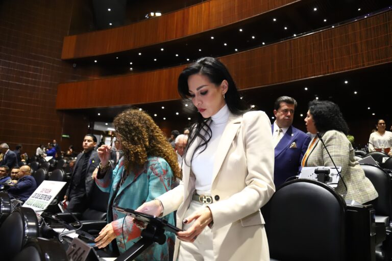 Que reforma el Código Penal Federal y de la Ley General de Acceso de las Mujeres a una Vida Libre de Violencia.