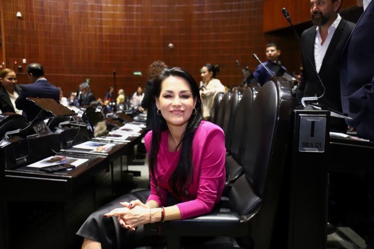 Que modifica la denominación del Capítulo I del Título Decimoquinto, se reforma el artículo 259 Bis y se adiciona el artículo 259 Ter del Código Penal Federal.